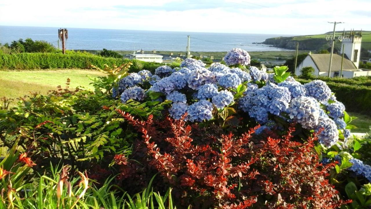 Copperfield House B & B Bunmahon Exterior foto